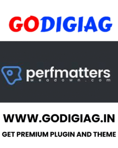 Perfmatters Plugin  v2.5.0